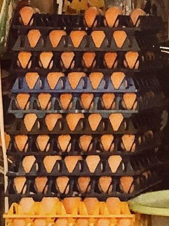 Trays of eggs stacked on a shelf