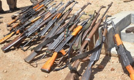300 Armed Bandits Ambush Police Officers in Turkana County: A Concern for Security in Northern Kenya